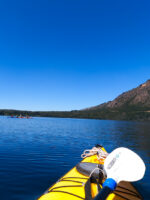 Excursión en Kayak en Lago Gutiérrez Bariloche: Naturaleza y Aventura sin Traslado