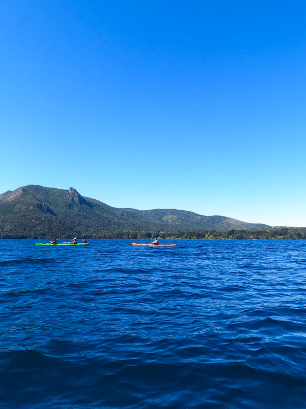 Excursión en Kayak en Lago Gutiérrez Bariloche: Naturaleza y Aventura sin Traslado - Imagen 4