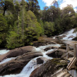 Puerto Blest y Cascada "Los Cantaros" con traslado