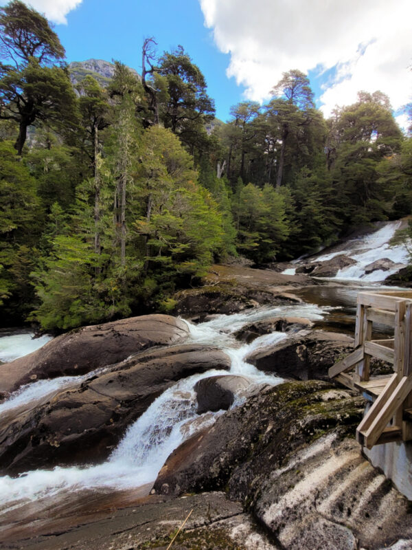 Puerto Blest y Cascada “Los Cantaros” Sin Traslado - Imagen 4