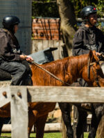 Cabalgata por Coihues: Paseo a Caballo en Medio de la Naturaleza Patagónica - Imagen 3