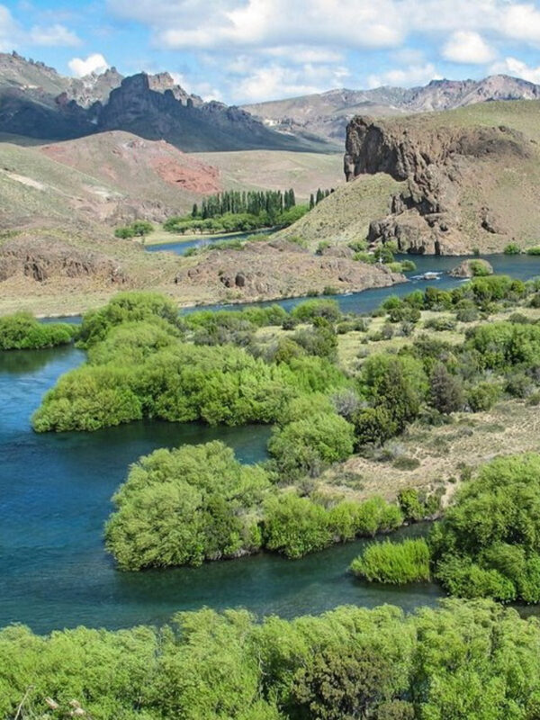 Rafting en Río Limay desde Bariloche: Naturaleza, Aventura y Estepa Patagónica - Imagen 4