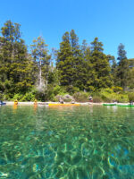 Excursión en Kayak en Lago Gutiérrez Bariloche: Naturaleza y Aventura sin Traslado - Imagen 2