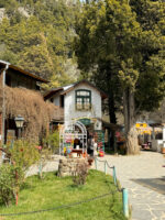 Traslado Colonia Suiza Bariloche: tradición, naturaleza y sabor - Imagen 3